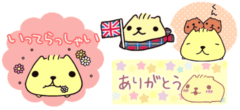 �X�^���v