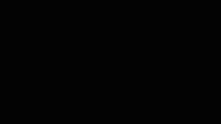 ���_���b�g�]��